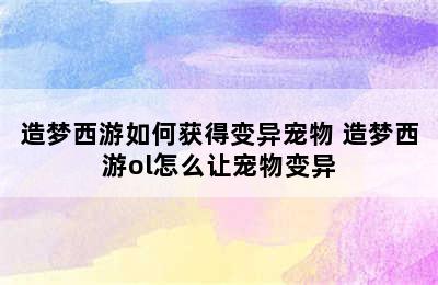 造梦西游如何获得变异宠物 造梦西游ol怎么让宠物变异